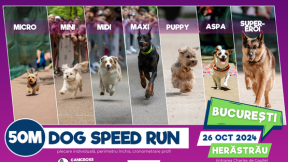 DOG SPEED RUN - Bucuresti (by Canicross Fun Run)